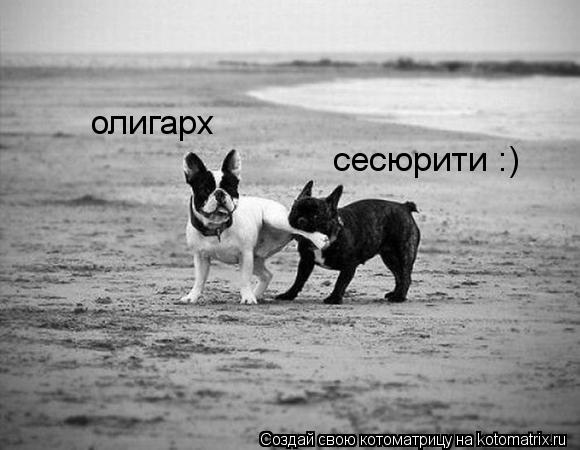 олигарх сесюрити :)... Котоматрица: олигарх сесюрити :)