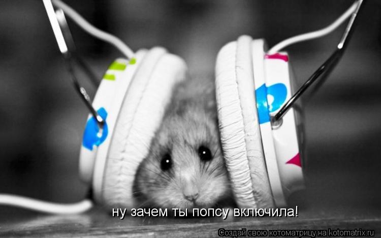 ну зачем ты попсу включила!... Котоматрица: ну зачем ты попсу включила!