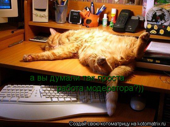 а вы думали так проста работа модератора? а вы думали так проста... работа модератора?))... Котоматрица: а вы думали так проста работа модератора? а вы думали так проста... работа модератора?))