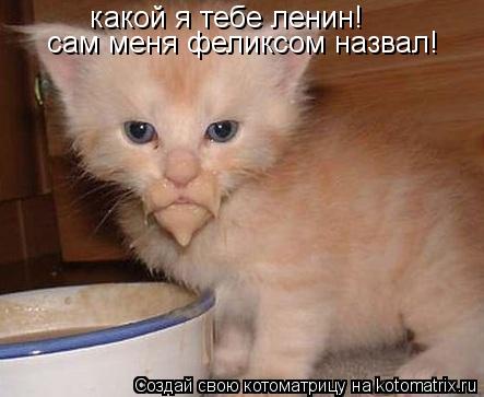 какой я тебе ленин! сам меня феликсом назвал!... Котоматрица: какой я тебе ленин! сам меня феликсом назвал!