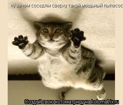 ну зачем соседям сверху такой мощьный пылесос!... Котоматрица: ну зачем соседям сверху такой мощьный пылесос!