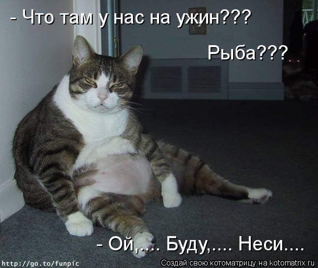 - Что там у нас на ужин??? Рыба??? - Ой,.... Буду,.... Неси....... Котоматрица: - Что там у нас на ужин??? Рыба??? - Ой,.... Буду,.... Неси....