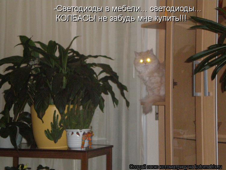 -Светодиоды в мебели... светодиоды... КОЛБАСЫ не забудь мне купить!!!... Котоматрица: -Светодиоды в мебели... светодиоды... КОЛБАСЫ не забудь мне купить!!!