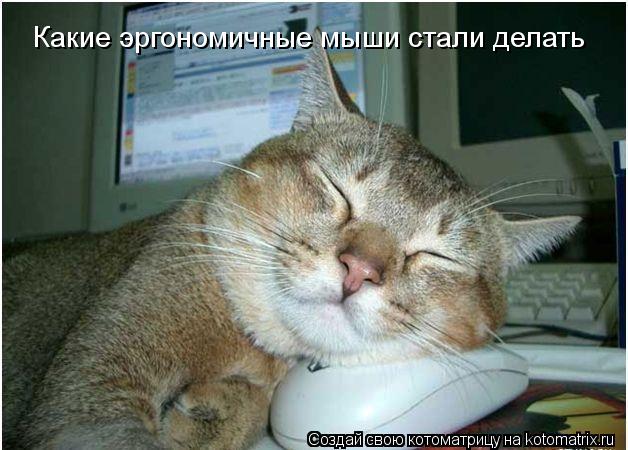 Какие эргономичные мыши стали делать... Котоматрица: Какие эргономичные мыши стали делать