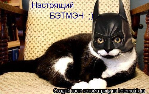 Котоматрица: Настоящий  БЭТМЭН  ;)