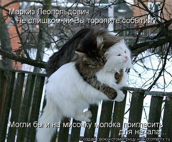 Маркиз Леопольдович, Не слишком ли Вы торопите события? Могли бы и на мисочку молока пригласить для н... Котоматрица: Маркиз Леопольдович, Не слишком ли Вы торопите события? Могли бы и на мисочку молока пригласить для начала...