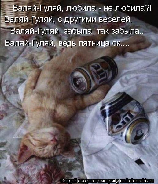 Валяй-Гуляй, любила - не любила?! Валяй-Гуляй, с другими веселей. Валяй-Гуляй, с другими веселей. В... Котоматрица: Валяй-Гуляй, любила - не любила?! Валяй-Гуляй, с другими веселей. Валяй-Гуляй, с другими веселей. Валяй-Гуляй, забыла, так забыла... Валяй-Гуляй