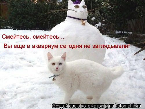 Смейтесь, смейтесь... Вы еще в аквариум сегодня не заглядывали!... Котоматрица: Смейтесь, смейтесь... Вы еще в аквариум сегодня не заглядывали!