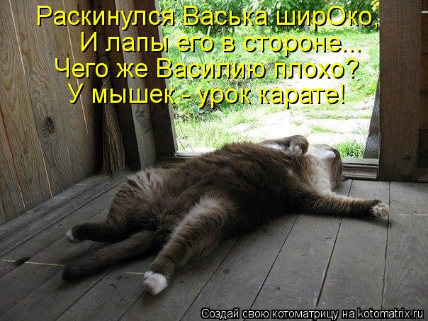 Раскинулся Васька ширОко, И лапы его в стороне... Чего же Василию плохо? У мышек - урок карате!... Котоматрица: Раскинулся Васька ширОко, И лапы его в стороне... Чего же Василию плохо? У мышек - урок карате!