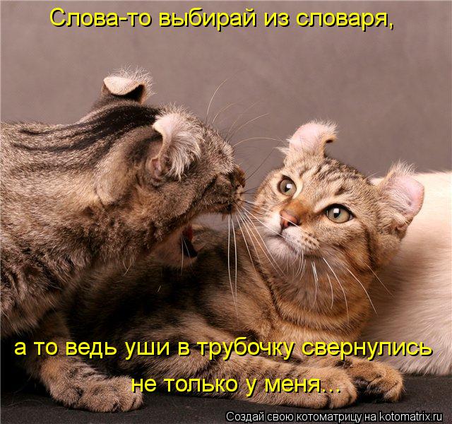Слова-то выбирай из словаря, а то ведь уши в трубочку свернулись не только у меня...... Котоматрица: Слова-то выбирай из словаря, а то ведь уши в трубочку свернулись не только у меня...