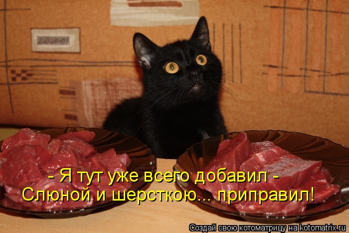 - Я тут уже всего добавил - Слюной и шерсткою... приправил!... Котоматрица: - Я тут уже всего добавил - Слюной и шерсткою... приправил!