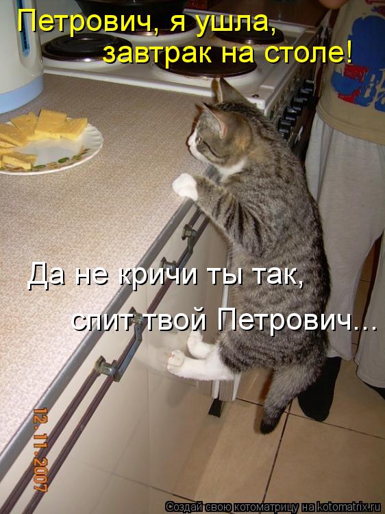 Котоматрица: Петрович, я ушла,  завтрак на столе! Да не кричи ты так,  спит твой Петрович...