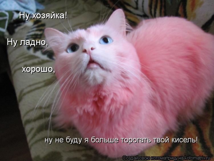Ну хозяйка! Ну ладно, хорошо, ну не буду я больше торогать твой кисель!... Котоматрица: Ну хозяйка! Ну ладно, хорошо, ну не буду я больше торогать твой кисель!