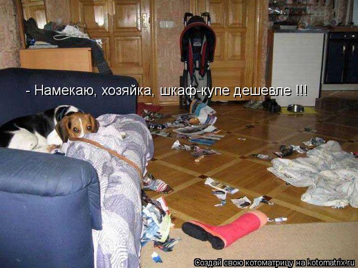 - Намекаю, хозяйка, шкаф-купе дешевле !!!... Котоматрица: - Намекаю, хозяйка, шкаф-купе дешевле !!!