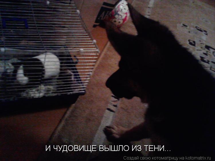 И ЧУДОВИЩЕ ВЫШЛО ИЗ ТЕНИ...... Котоматрица: И ЧУДОВИЩЕ ВЫШЛО ИЗ ТЕНИ...