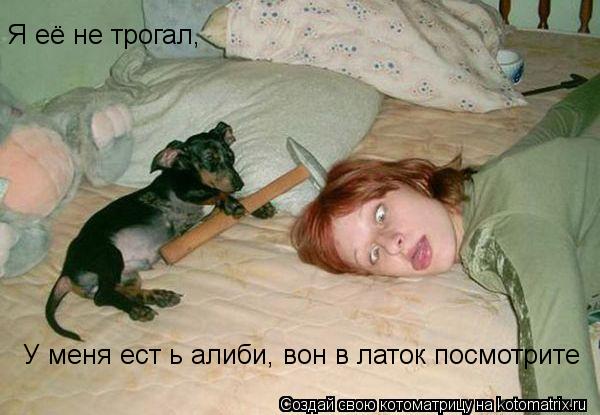 У меня ест ь алиби, вон в латок посмотрите Я её не трогал,... Котоматрица: У меня ест ь алиби, вон в латок посмотрите Я её не трогал,