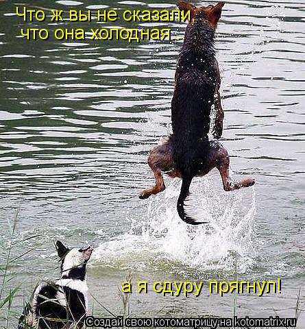 Что ж вы не сказали, что она холодная... а я сдуру прягнул!... Котоматрица: Что ж вы не сказали, что она холодная... а я сдуру прягнул!