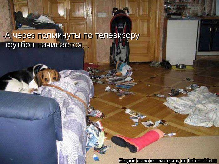 -А через полминуты по телевизору футбол начинается...... Котоматрица: -А через полминуты по телевизору футбол начинается...