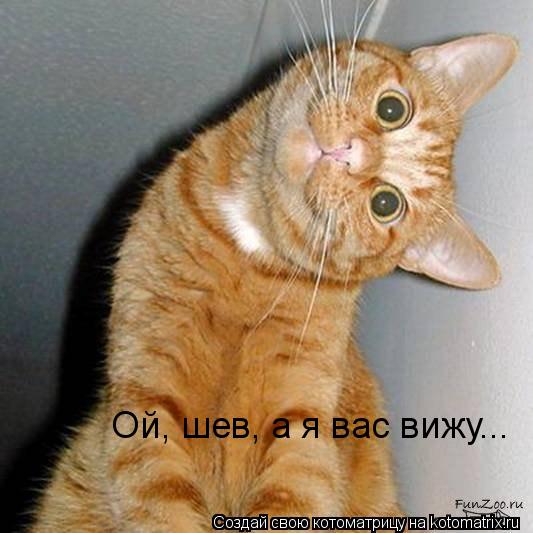 Ой, шев, а я вас вижу...... Котоматрица: Ой, шев, а я вас вижу...