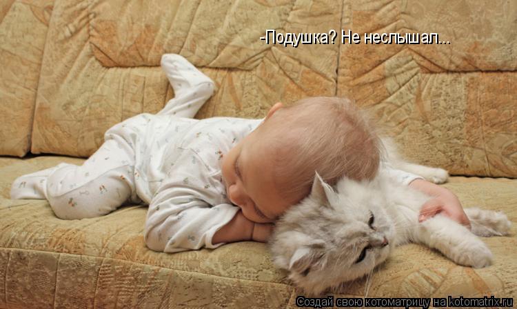 -Подушка? Не неслышал...... Котоматрица: -Подушка? Не неслышал...