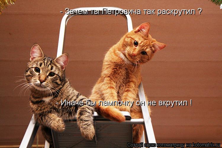 - Зачем ты Петровича так раскрутил ? - Иначе бы лампочку он не вкрутил !... Котоматрица: - Зачем ты Петровича так раскрутил ? - Иначе бы лампочку он не вкрутил !