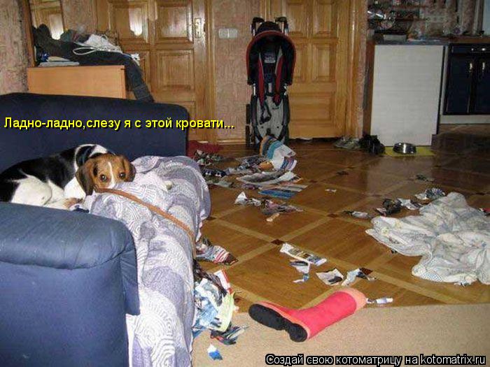 Ладно-ладно,слезу я с этой кровати...... Котоматрица: Ладно-ладно,слезу я с этой кровати...