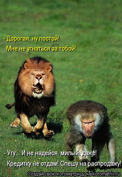 - Дорогая, ну постой! Мне не угнаться за тобой! - Угу... И не надейся, милый, даже! Кредитку не отда... Котоматрица: - Дорогая, ну постой! Мне не угнаться за тобой! - Угу... И не надейся, милый, даже! Кредитку не отдам! Спешу на распродажу!