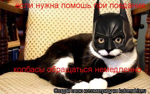 если нужна помошь при поедание колбасы обращаться немедленно... Котоматрица: если нужна помошь при поедание колбасы обращаться немедленно