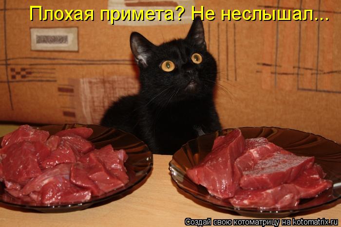 Плохая примета? Не неслышал...... Котоматрица: Плохая примета? Не неслышал...