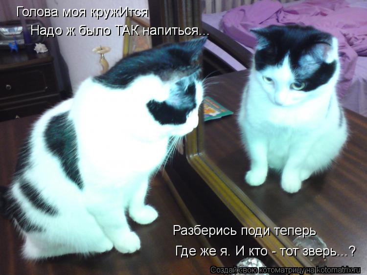 Голова моя кружИтся Надо ж было ТАК напиться... Надо ж было ТАК напиться... Где же я. И кто - тот зве... Котоматрица: Голова моя кружИтся Надо ж было ТАК напиться... Надо ж было ТАК напиться... Где же я. И кто - тот зверь...? Разберись поди теперь