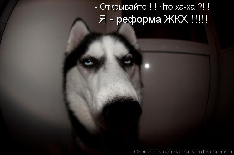 - Открывайте !!! Что ха-ха ?!!! Я - реформа ЖКХ !!!!!... Котоматрица: - Открывайте !!! Что ха-ха ?!!! Я - реформа ЖКХ !!!!!