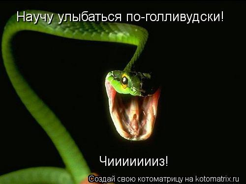 Научу улыбаться по-голливудски! Чиииииииз!... Котоматрица: Научу улыбаться по-голливудски! Чиииииииз!