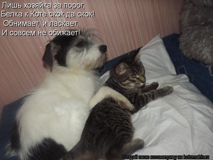 Лишь хозяйка за порог, Лишь хозяйка за порог, Белка к Коте скок да скок! Обнимает, и ласкает, И совсе... Котоматрица: Лишь хозяйка за порог, Лишь хозяйка за порог, Белка к Коте скок да скок! Обнимает, и ласкает, И совсем не обижает!