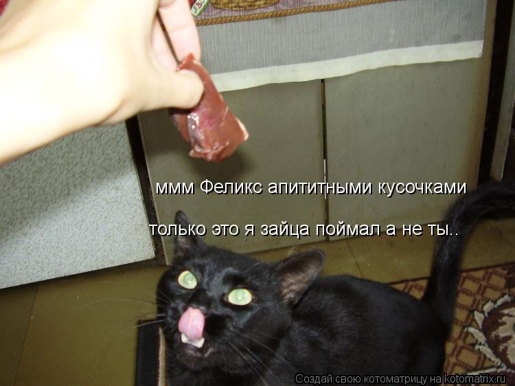 ммм Феликс апититными кусочками только это я зайца поймал а не ты..... Котоматрица: ммм Феликс апититными кусочками только это я зайца поймал а не ты..