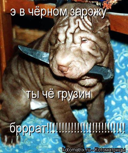 э в чёрном зарэжу ты чё грузин брррат!!!!!!!!!!!!!!!!!!!!!!!!!!... Котоматрица: э в чёрном зарэжу ты чё грузин брррат!!!!!!!!!!!!!!!!!!!!!!!!!!