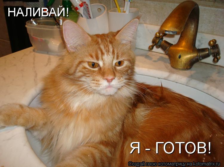 НАЛИВАЙ! Я - ГОТОВ!... Котоматрица: НАЛИВАЙ! Я - ГОТОВ!