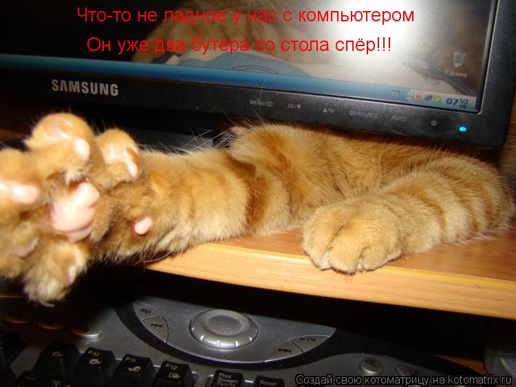 Что-то не ладное у нас с компьютером Он уже два бутера со стола спёр!!!... Котоматрица: Что-то не ладное у нас с компьютером Он уже два бутера со стола спёр!!!