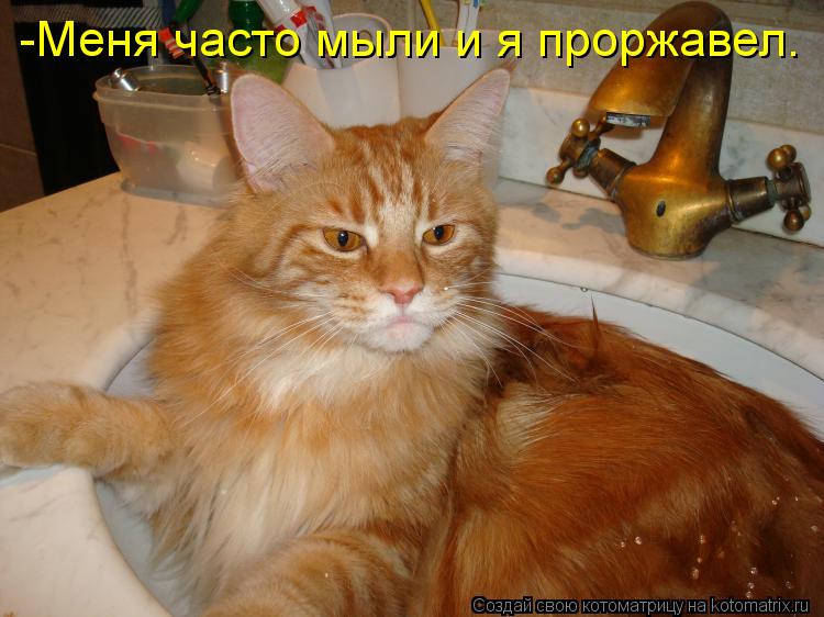 -Меня часто мыли и я проржавел.... Котоматрица: -Меня часто мыли и я проржавел.