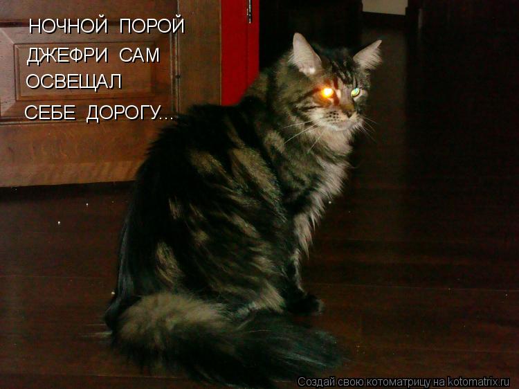 НОЧНОЙ ПОРОЙ ДЖЕФРИ САМ ОСВЕЩАЛ СЕБЕ ДОРОГУ...... Котоматрица: НОЧНОЙ ПОРОЙ ДЖЕФРИ САМ ОСВЕЩАЛ СЕБЕ ДОРОГУ...