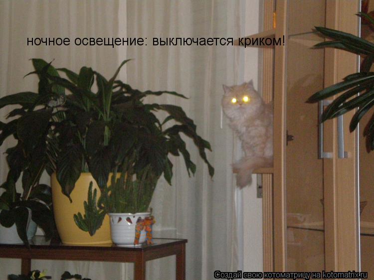 ночное освещение: выключается криком!... Котоматрица: ночное освещение: выключается криком!