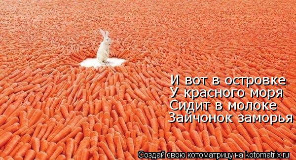 И вот в островке У красного моря Сидит в молоке Зайчонок заморья... Котоматрица: И вот в островке У красного моря Сидит в молоке Зайчонок заморья