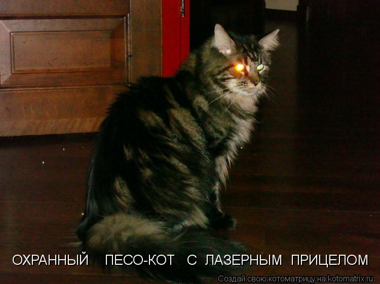 ОХРАННЫЙ ПЕСО-КОТ С ЛАЗЕРНЫМ ПРИЦЕЛОМ... Котоматрица: ОХРАННЫЙ ПЕСО-КОТ С ЛАЗЕРНЫМ ПРИЦЕЛОМ