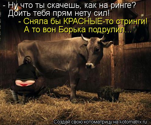 - Ну что ты скачешь, как на ринге? Доить тебя прям нету сил! - Сняла бы КРАСНЫЕ-то стринги! А то вон ... Котоматрица: - Ну что ты скачешь, как на ринге? Доить тебя прям нету сил! - Сняла бы КРАСНЫЕ-то стринги! А то вон Борька подрулил...