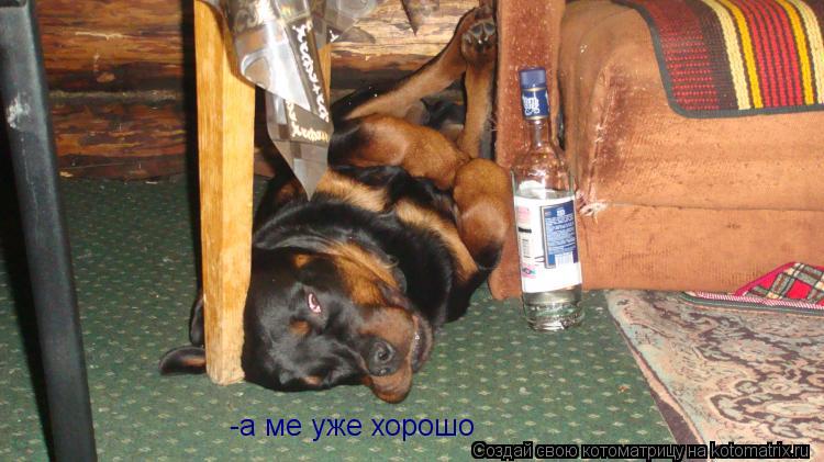 -а ме уже хорошо... Котоматрица: -а ме уже хорошо