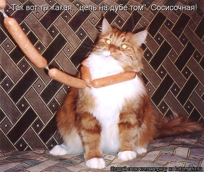-Так вот ты какая, "цепь на дубе том". Сосисочная!... Котоматрица: -Так вот ты какая, "цепь на дубе том". Сосисочная!