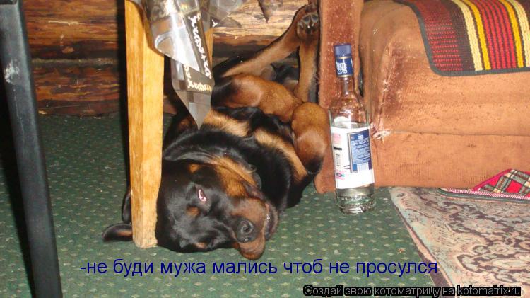 -не буди мужа мались чтоб не просулся... Котоматрица: -не буди мужа мались чтоб не просулся