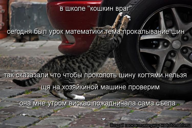сегодня был урок математики тема прокалывание шин в школе "кошкин враг" так сказазали что чтобы проко... Котоматрица: сегодня был урок математики тема прокалывание шин в школе "кошкин враг" так сказазали что чтобы проколоть шину когтями нельзя щя на хозяйки
