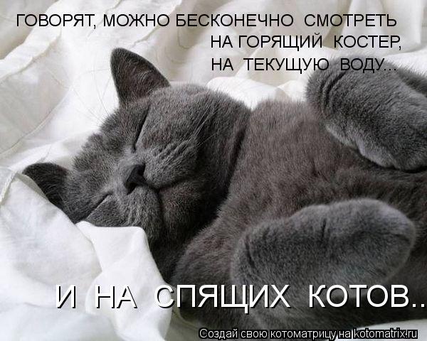 ГОВОРЯТ, МОЖНО БЕСКОНЕЧНО СМОТРЕТЬ НА ГОРЯЩИЙ КОСТЕР, НА ТЕКУЩУЮ ВОДУ... И НА СПЯЩИХ КОТОВ...... Котоматрица: ГОВОРЯТ, МОЖНО БЕСКОНЕЧНО СМОТРЕТЬ НА ГОРЯЩИЙ КОСТЕР, НА ТЕКУЩУЮ ВОДУ... И НА СПЯЩИХ КОТОВ...