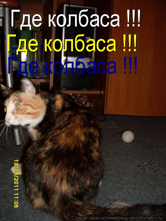 Где колбаса !!! Где колбаса !!! Где колбаса !!!... Котоматрица: Где колбаса !!! Где колбаса !!! Где колбаса !!!