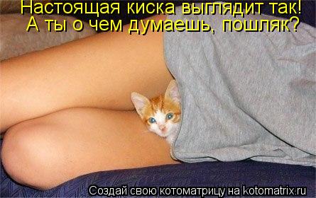 А ты о чем думаешь, пошляк? Настоящая киска выглядит так!... Котоматрица: А ты о чем думаешь, пошляк? Настоящая киска выглядит так!
